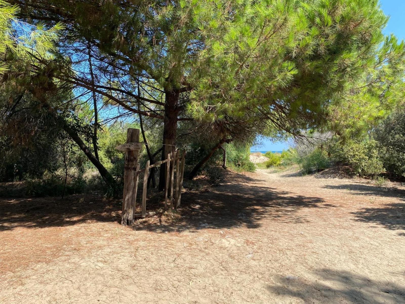 B&B La Palma Petacciato Εξωτερικό φωτογραφία